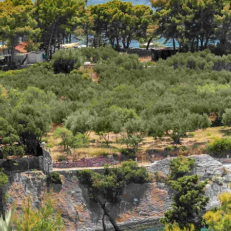 Luxury Hvar Carpe Diem Newly Renovated With Private Pool By The Sea Hvar Town