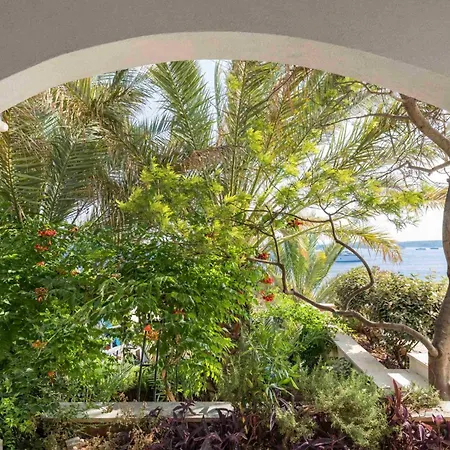 Luxury Hvar Carpe Diem Newly Renovated With Private Pool By The Sea Villa
